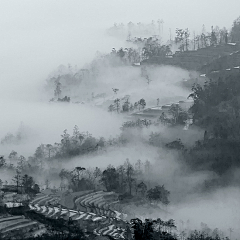 王の坐骑采集到水墨素材