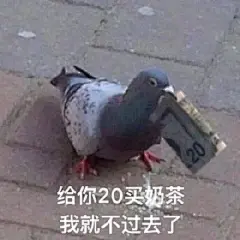 沙雕表情包更新，拿图互动

狗生有了点疲惫
玩心吗
给你20买奶茶，我就不过去了
管好自己，不然就藏好你的妈
小孩子才做选择，我全想要...展开全文c