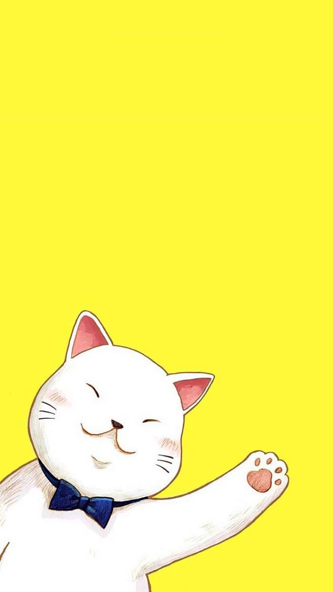 猫咪