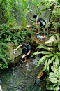 Tropical basement - Album on Imgur