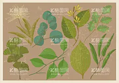 植物矢量图图片  - 源文件下载【酷图网】草,矢量草图,矢量花图,小草,小花,花朵,树,大树,绿色,卡通花,卡通树,植物,植物矢量图,手绘盆栽,盆栽,卡通手绘,装饰图案,绿植,春天,落叶,花瓣,花卉,开花,桃花,底纹背景,底纹,海底,海藻,矢量素材,插画,卡通插画,小雏菊,春季,树叶,鲜花,手绘叶子,手绘树叶,菊花,花草树木,牵牛花