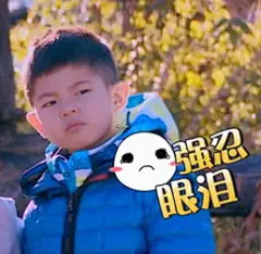 沙溢儿子安吉表情包-搜狗搜索