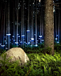 树干套环，也可以成为灯具
秒变奇幻森林。