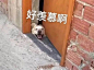好羡慕啊