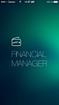FINANCIAL MANAGER