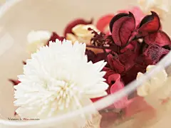 温馨浪漫家居插花艺术高清壁纸桌面壁纸4
