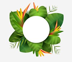 手绘夏日绿植海报边框平面广告_新图网 https://ixintu.com 夏日边框 夏季 热带 植物 绿植 海报边框 文本框 花环 标题框 背景 公告栏 夏天海报边框 手绘边框 卡通边框