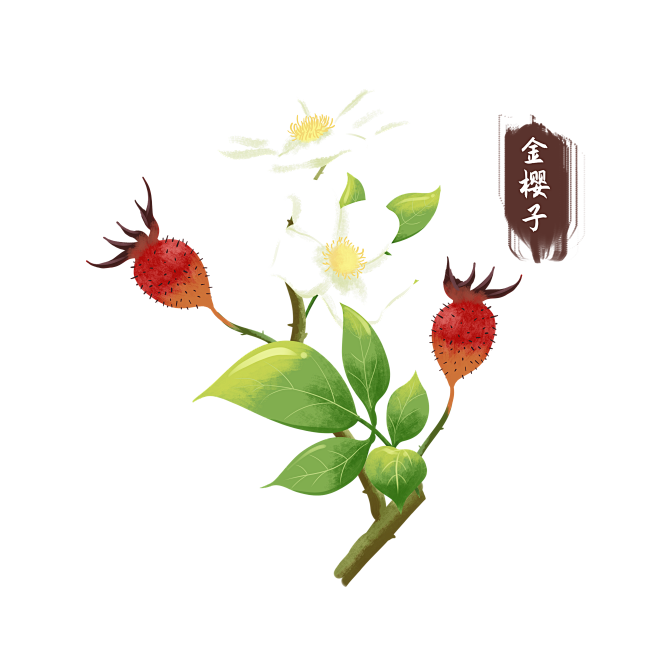 金樱子
