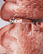 VISI / Competitions / Win a Babel Cookbook: 