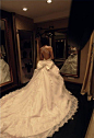 图片、wedding dress、婚纱、礼服、爱情