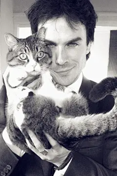 图片、摄影、吸血鬼日记、iphone壁纸、背景