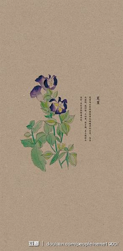 若惜惜采集到Rare•古风