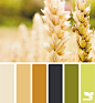 Design Seeds® | find your palette