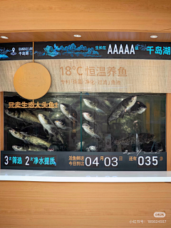 Tom猫丶采集到餐饮空间