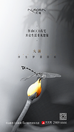 爱生活,更爱设计采集到H5
