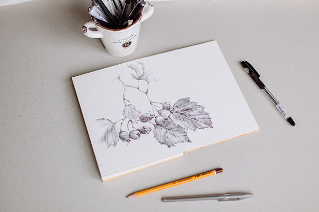 Botanical sketchbook...