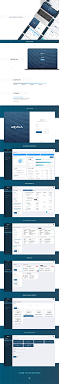 Bank Commercial Portfolio UI