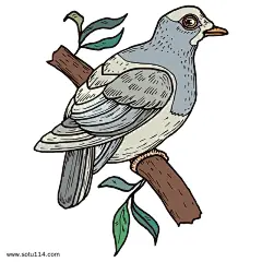 卡通小鸟素材动物素材