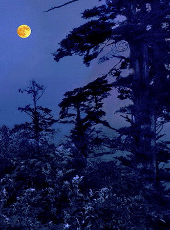 『 明月净松林，千峰同一色… 』