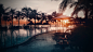 General 1920x1080 swimming pool palm trees hotel