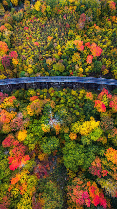 濮院采集到风景