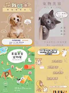 宠物烘焙/宠物海报设计/推广 /宣传 必备 - 小红书