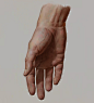 Hand studies