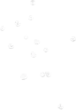 白色花瓣png