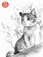 《画给喵星人的小素描》——献给最爱的喵星人的抒情小画册，为家里的猫主子画张小像吧！萌萌的小肉垫，圆圆的大眼睛~只是想一想，手中的画笔就按耐不住了呀!o(>w<)o