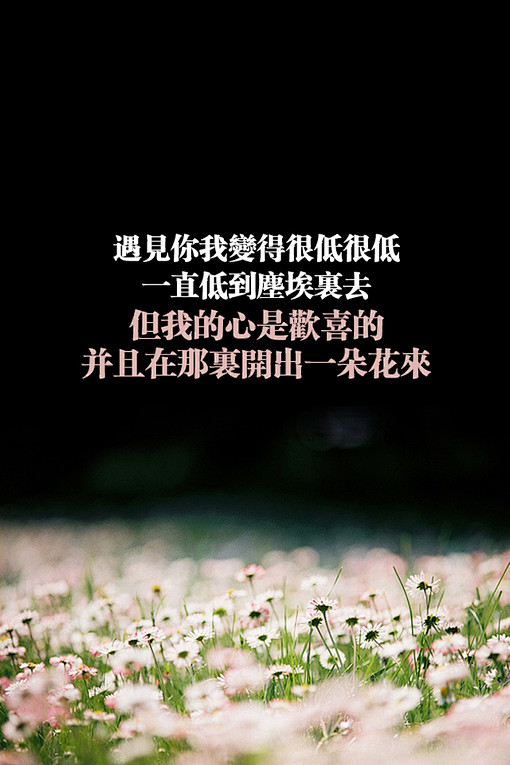 唯美非主流经典伤感爱情文字图片大全3