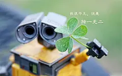 绿色护眼小清新幸运四叶草唯美高清桌面壁纸
 1920×1200