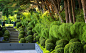 Brandon Tyson designed garden near San Francisco. Photo: Claire Takacs