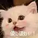 点二十四点