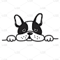法国斗牛犬瞌睡狗插图矢量卡通