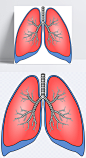 肺部|内脏,禁烟,健康,图标元素