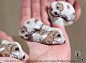 日本艺术家Akie Nakata把捡来的石头变成了动物，它们卖萌发嗲，还有了心事。 ​​​​