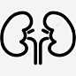 肾脏膀胱器官图标 设计图片 免费下载 页面网页 平面电商 创意素材