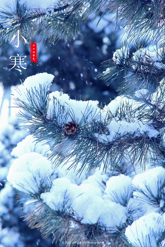 今日小寒 小寒 是二十四节气中的第23个节气 冬季的第5个节气 于每年公历1月5-7日交节 冷气积久而寒 小寒是天气寒冷但还没有到极点的意思 ...