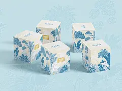 自然世界 线描商业包装插画-古田路9号-品牌创意/版权保护平台