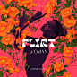 Flirt Woman : Flirt perfume for women – A conceptual packaging design