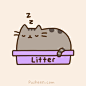 Pusheen the cat : =＾● ⋏ ●＾= Meow! I am Pusheen the cat. This is my blog. (more...)