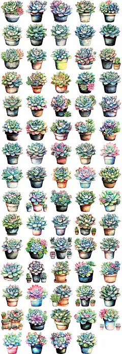 多肉盆栽植物花朵园艺花园花卉手绘插画插图创意元素材设计模板-淘宝网