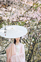 Traditional Chinese fashion, hanfu. Photoed by 摄影师晓波: 