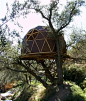 Geodesic treehouse in Spain.