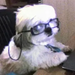 沙雕狗子表情包_6_红火小个儿_来自小红书网页版