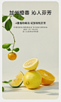 雏菊的天空植物韵律云洁面氨基酸洗面奶女温和洁面慕斯-tmall.com天猫