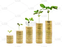金塔上的金币堆上长着钱树，从小到高。存钱理财成长概念上孤立的白色背景。剪辑路径