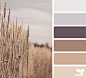 FieldTones5_150.png (1198×1090)