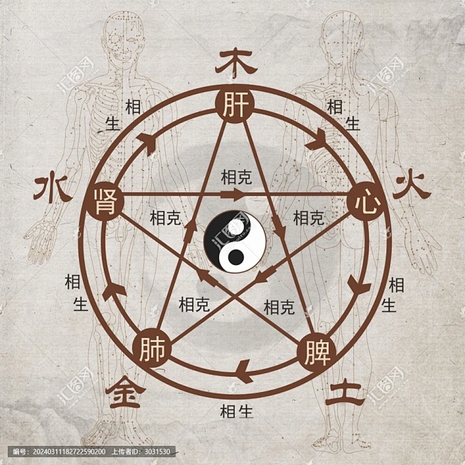 五行五脏相生相克图-花瓣网