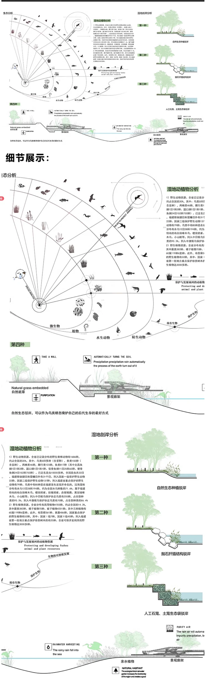 生态驳岸分析图PSD素材动植物生态分析水岸驳岸生态分析图PSD素材-花瓣网